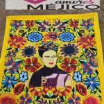 FUNDA COJIN FRIDA