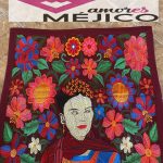 FUNDA COJIN FRIDA