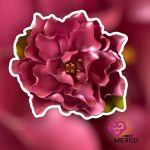 BROCHE LISTO PALO DE ROSA
